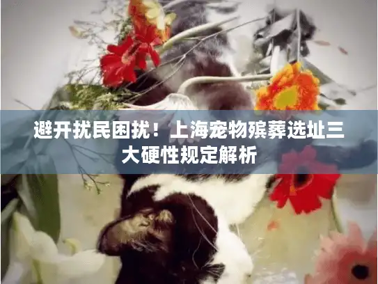 避开扰民困扰！上海宠物殡葬选址三大硬性规定解析