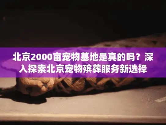 北京2000亩宠物墓地是真的吗？深入探索北京宠物殡葬服务新选择