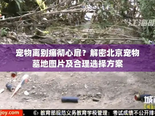 宠物离别痛彻心扉？解密北京宠物墓地图片及合理选择方案