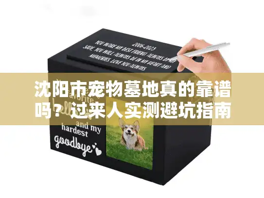 沈阳市宠物墓地真的靠谱吗？过来人实测避坑指南