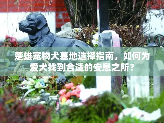 楚雄宠物犬墓地选择指南，如何为爱犬找到合适的安息之所？