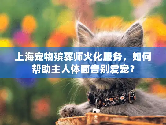 上海宠物殡葬师火化服务，如何帮助主人体面告别爱宠？