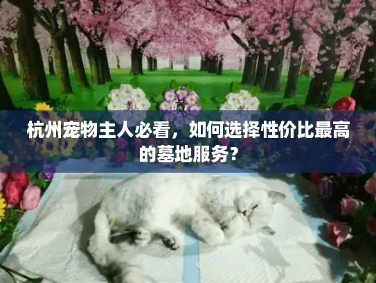 杭州宠物主人必看，如何选择性价比最高的墓地服务？
