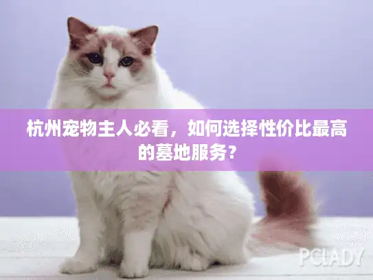 杭州宠物主人必看，如何选择性价比最高的墓地服务？