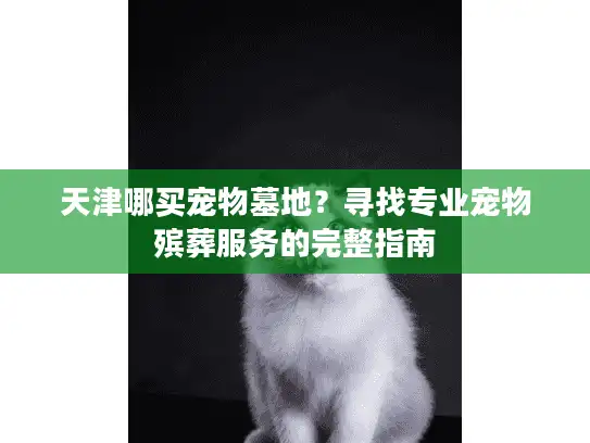 天津哪买宠物墓地？寻找专业宠物殡葬服务的完整指南