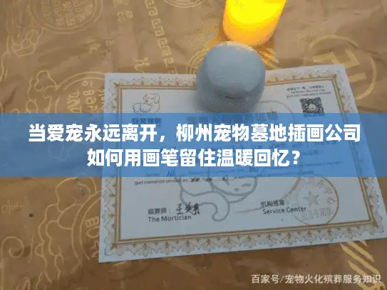 当爱宠永远离开，柳州宠物墓地插画公司如何用画笔留住温暖回忆？