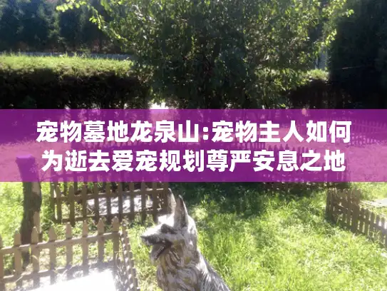 宠物墓地龙泉山:宠物主人如何为逝去爱宠规划尊严安息之地?