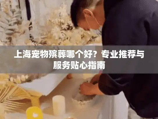 上海宠物殡葬哪个好？专业推荐与服务贴心指南