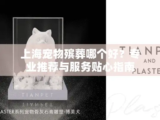 上海宠物殡葬哪个好？专业推荐与服务贴心指南