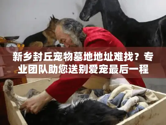 新乡封丘宠物墓地地址难找？专业团队助您送别爱宠最后一程