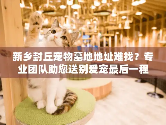新乡封丘宠物墓地地址难找？专业团队助您送别爱宠最后一程