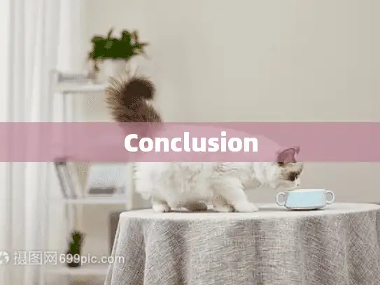 Conclusion