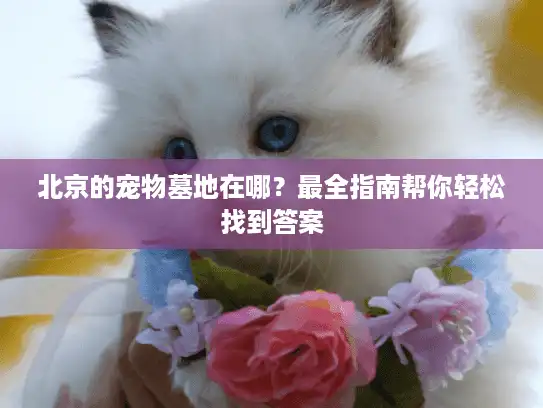 北京的宠物墓地在哪？最全指南帮你轻松找到答案