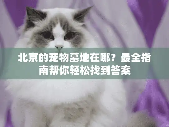 北京的宠物墓地在哪？最全指南帮你轻松找到答案