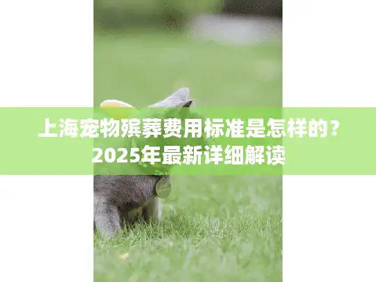 上海宠物殡葬费用标准是怎样的？2025年最新详细解读