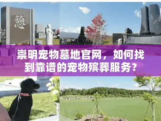 崇明宠物墓地官网，如何找到靠谱的宠物殡葬服务？