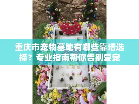 重庆市宠物墓地有哪些靠谱选择？专业指南帮你告别爱宠