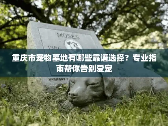 重庆市宠物墓地有哪些靠谱选择？专业指南帮你告别爱宠