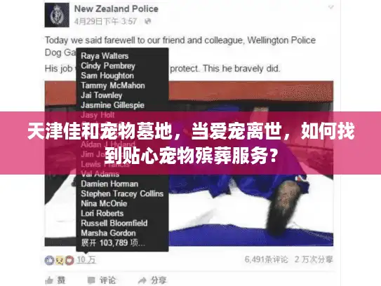 天津佳和宠物墓地，当爱宠离世，如何找到贴心宠物殡葬服务？