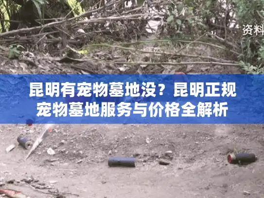 昆明有宠物墓地没？昆明正规宠物墓地服务与价格全解析
