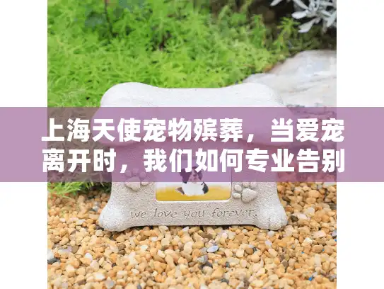 上海天使宠物殡葬，当爱宠离开时，我们如何专业告别？