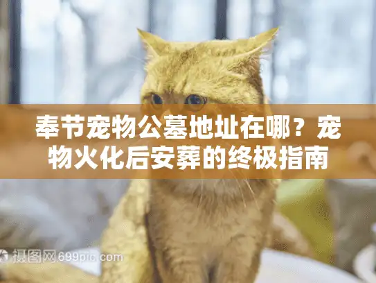 奉节宠物公墓地址在哪？宠物火化后安葬的终极指南