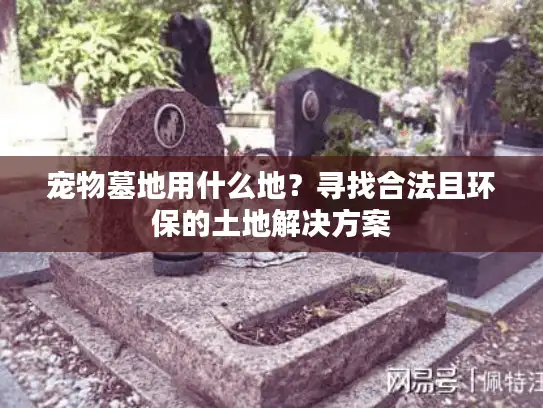 宠物墓地用什么地？寻找合法且环保的土地解决方案
