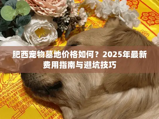 肥西宠物墓地价格如何？2025年最新费用指南与避坑技巧