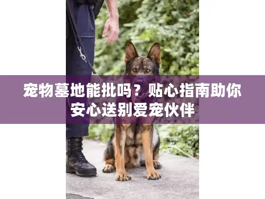 宠物墓地能批吗？贴心指南助你安心送别爱宠伙伴