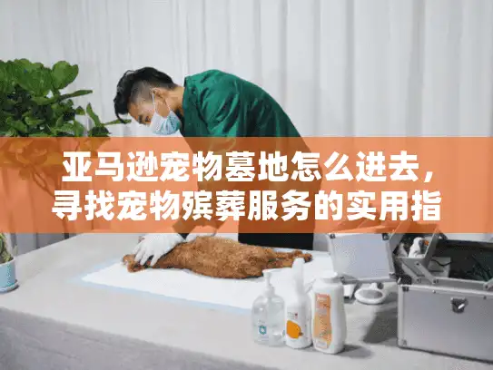 亚马逊宠物墓地怎么进去，寻找宠物殡葬服务的实用指南