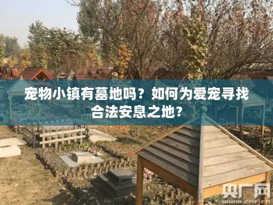 宠物小镇有墓地吗？如何为爱宠寻找合法安息之地？