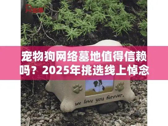 宠物狗网络墓地值得信赖吗？2025年挑选线上悼念平台的终极指南