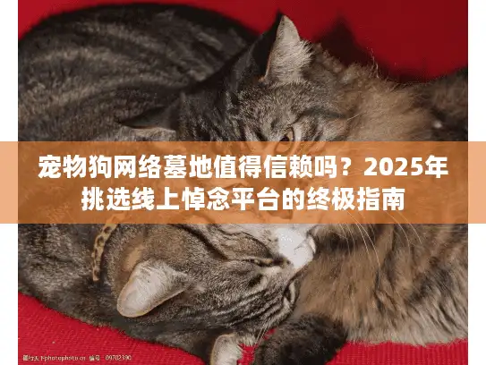 宠物狗网络墓地值得信赖吗？2025年挑选线上悼念平台的终极指南