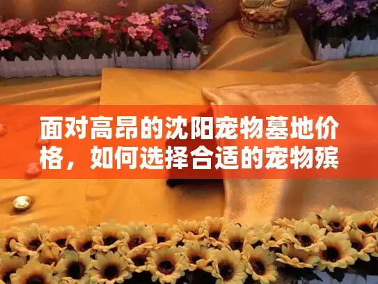 面对高昂的沈阳宠物墓地价格，如何选择合适的宠物殡葬服务？
