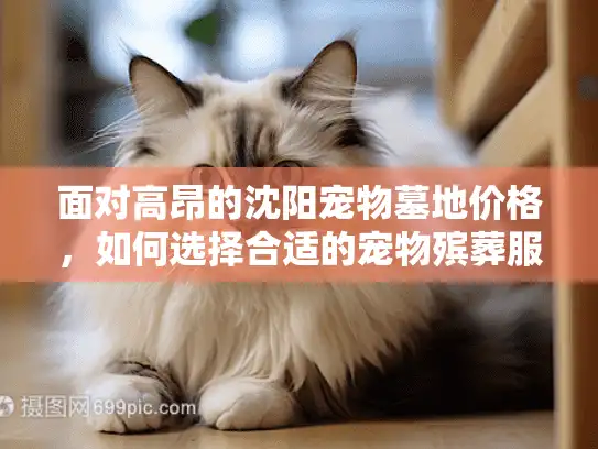 面对高昂的沈阳宠物墓地价格，如何选择合适的宠物殡葬服务？
