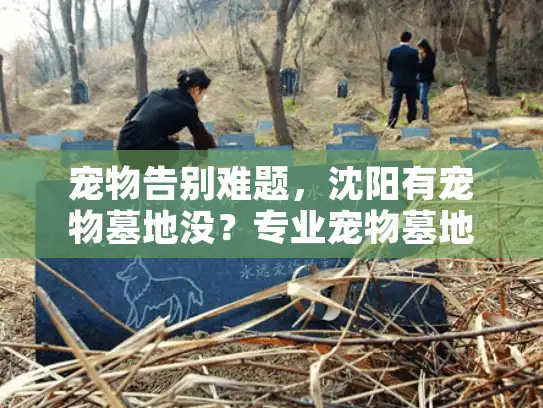 宠物告别难题，沈阳有宠物墓地没？专业宠物墓地服务解决方案
