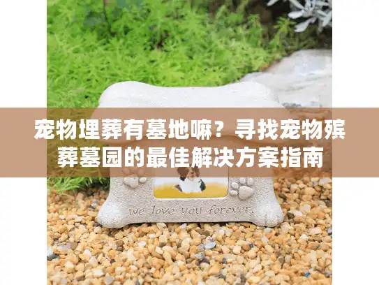 宠物埋葬有墓地嘛？寻找宠物殡葬墓园的最佳解决方案指南