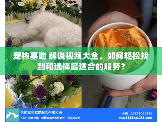 宠物墓地 解说视频大全，如何轻松找到和选择最适合的服务？