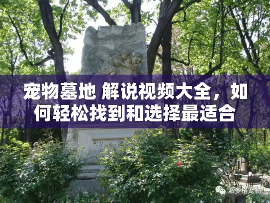 宠物墓地 解说视频大全，如何轻松找到和选择最适合的服务？