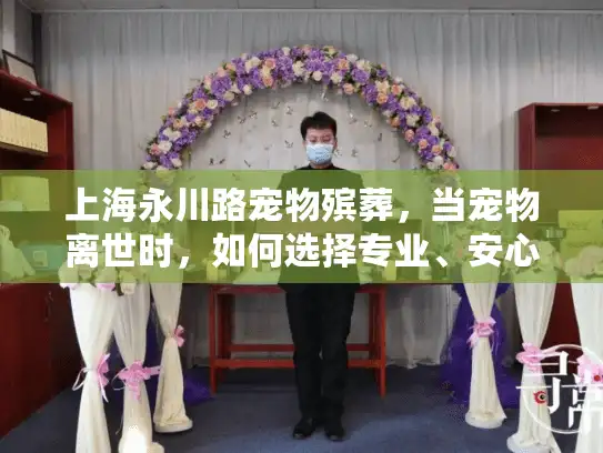 上海永川路宠物殡葬，当宠物离世时，如何选择专业、安心的告别服务？