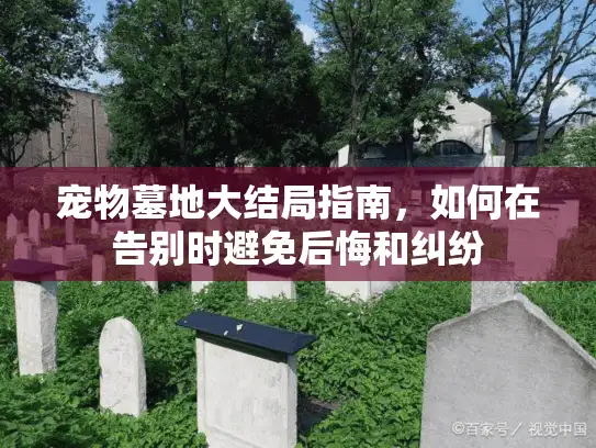 宠物墓地大结局指南，如何在告别时避免后悔和纠纷