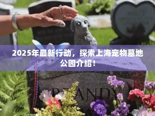 2025年最新行动，探索上海宠物墓地公园介绍！