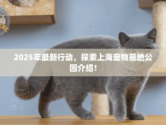 2025年最新行动，探索上海宠物墓地公园介绍！