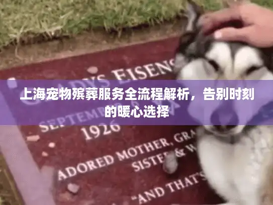 上海宠物殡葬服务全流程解析，告别时刻的暖心选择