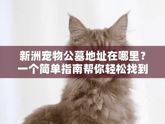 新洲宠物公墓地址在哪里？一个简单指南帮你轻松找到