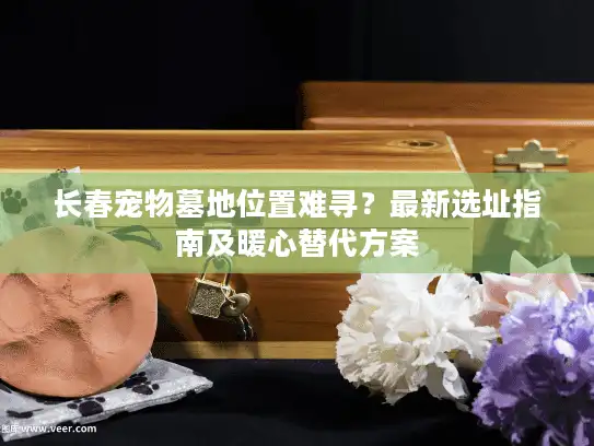 长春宠物墓地位置难寻？最新选址指南及暖心替代方案