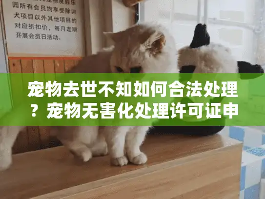 宠物去世不知如何合法处理？宠物无害化处理许可证申请全流程详解