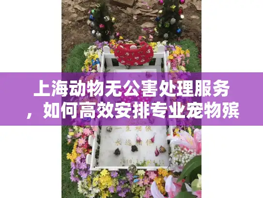 上海动物无公害处理服务，如何高效安排专业宠物殡葬？