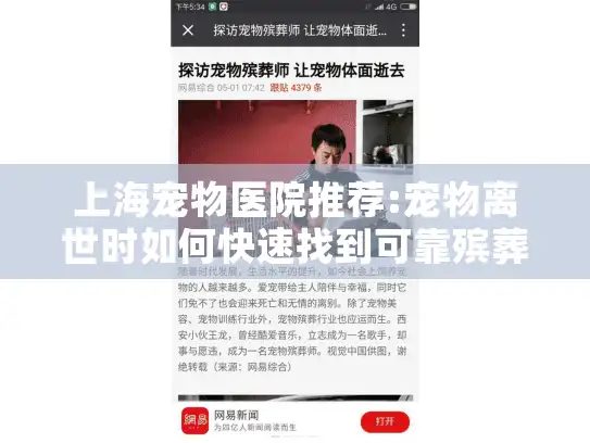 上海宠物医院推荐:宠物离世时如何快速找到可靠殡葬服务?