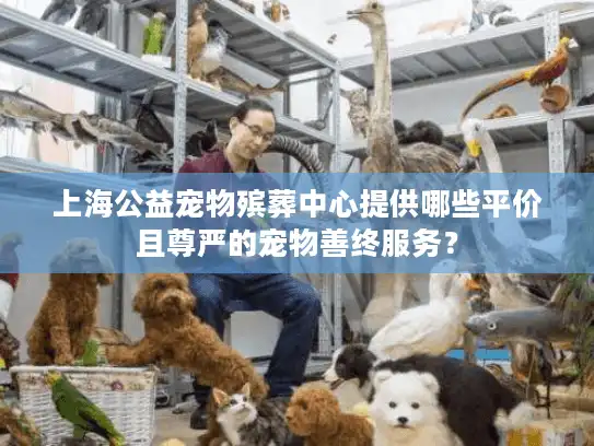 上海公益宠物殡葬中心提供哪些平价且尊严的宠物善终服务？